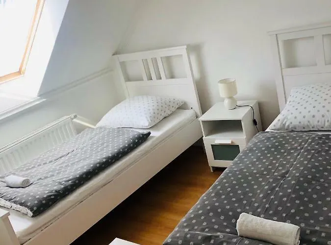 Levendula * 蒂豪尼